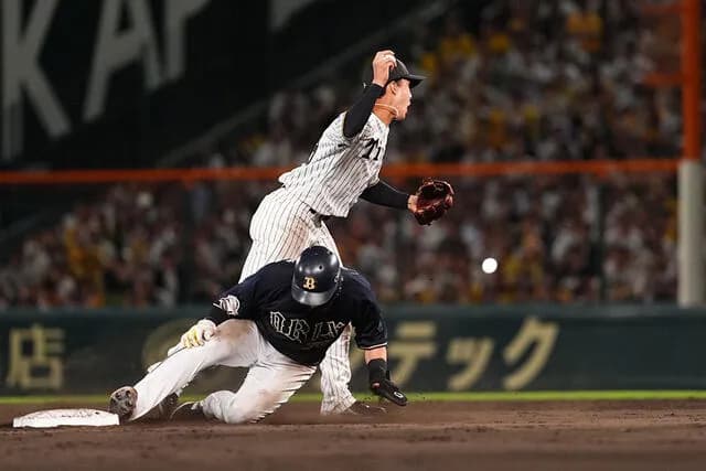 オリックスファンやけど今回の件で阪神ファンがやばいやつらだって分かった