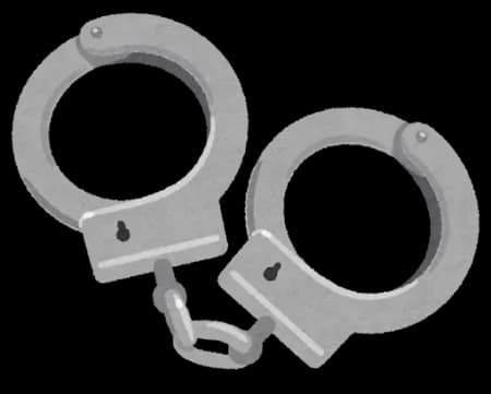 グレタさん2年余で8回拘束