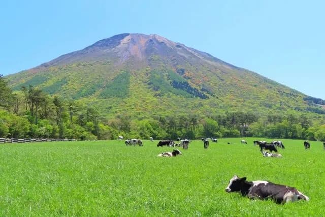 鳥取県出身の奴ってあったことないよな・・・