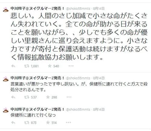 中川翔子「保健所に連れて行くな!」彡(゚)(゚)「ファッ!?」