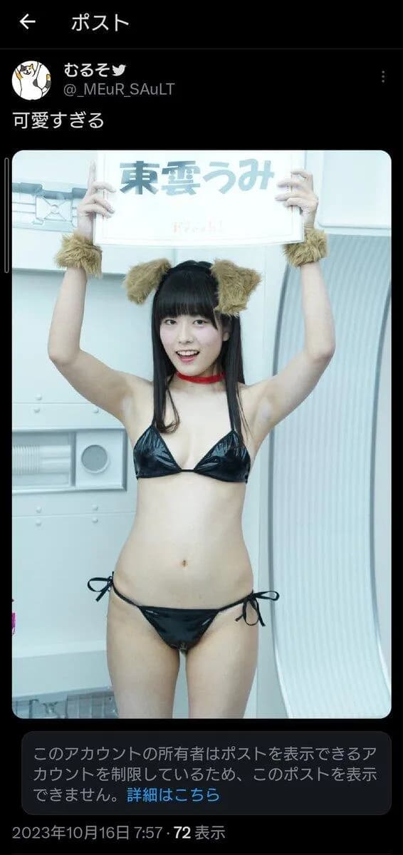 【悲報】超人気グラドルさん、「可愛い」と呟いただけのファンをブロックwwwww