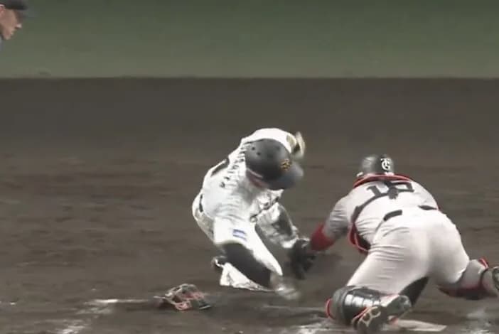 【朗報】虎ファン、祝勝会【阪神1-0巨人】