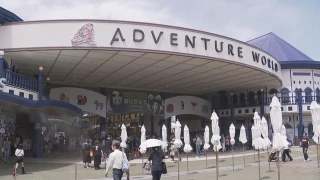 和歌山アドベンチャーワールド「パンダ消えた……せや!!!!」