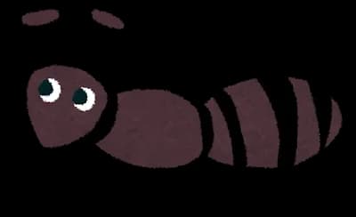 アリ飼ってそろそろ一ヵ月になるから名前がほしい