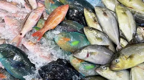 【急募】北海道→海鮮最高、沖縄→海鮮??wwwwwwwwwwwwwwww