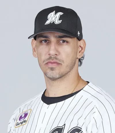 ロッテソト(36) .210 8本 25打点 OPS.622