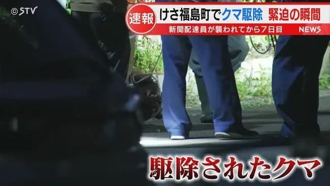 クマ駆除されたってよ→デカすぎてやべえ