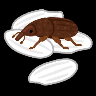 お前ら「精米したら3か月で虫が湧くw」ワイ「」