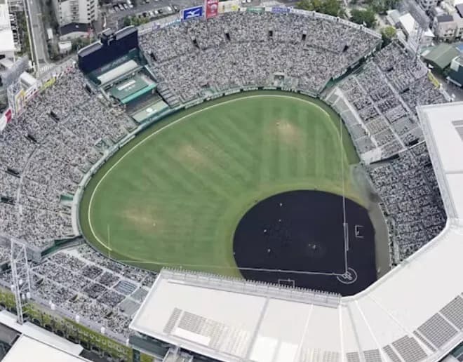 阪神(ホーム18勝16敗)←本拠地で弱い原因ってなんやろ?