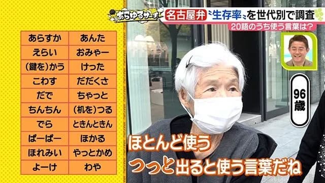 【悲報】名古屋、標準語になっていた…「だぎゃー」「やっとかめ」「エビフリャー」誰も言ってない