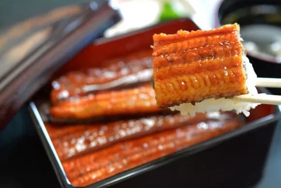 【悲報】うなぎに1番マッチする薬味って山椒じゃないよなwwwwwwwwwwwwwwww