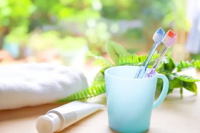 歯磨き毎日しない奴wwwwwwww