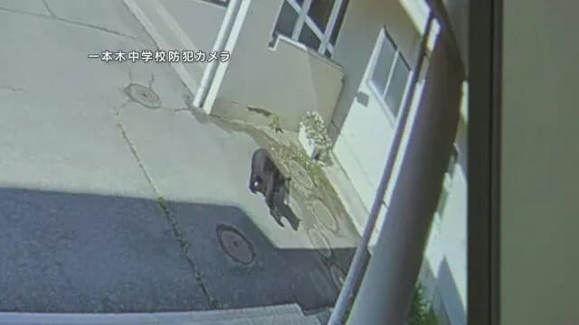 クマが中学校に進入 副校長がクマの前に立ちはだかりにらみ合い、生徒守る 岩手県