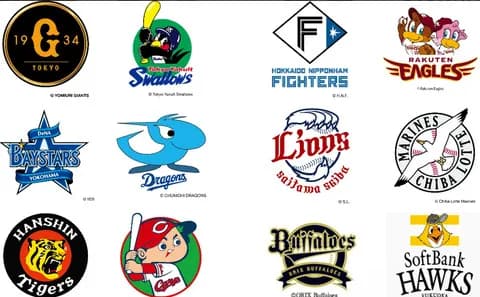 好きな選手は「選手時代の立浪」と答えた今坂 ファームでプロ初ホームラン!!