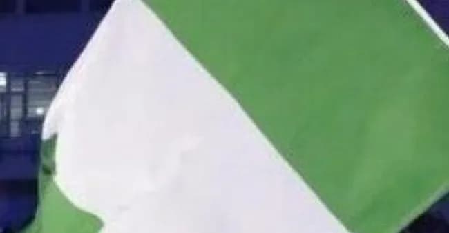 【悲報】ナイジェリア、負ける