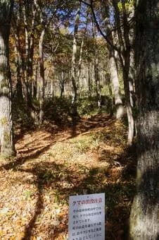 【悲報】「熊スプレー」買ったけど威力ヤバくて草wwwwwwwwwwwwwwww