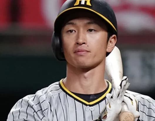 近本光司の8月成績 打率.227 97-22 OPS.613 ← これ