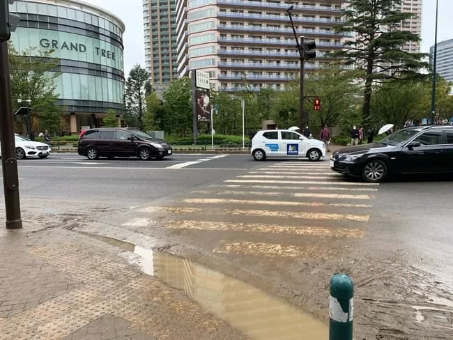 【悲報】武蔵小杉またも茶色に染まるwwwwwww