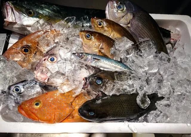 毎日魚食べようと思うんだが安くて美味くて調理楽な魚教えろ