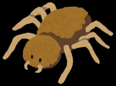 アシダカグモ「ゴキ滅ぼします。毒ないです。清潔です。巣作りません。ゴキいなくなったら消えます」