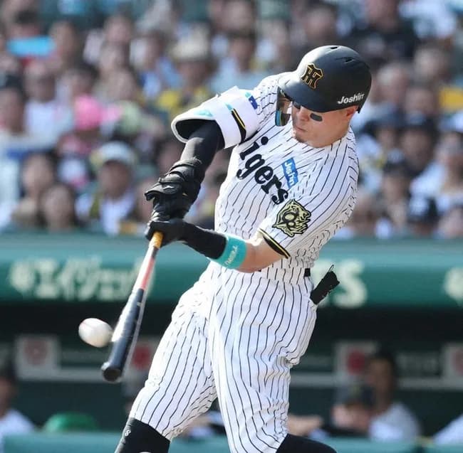今年もホームラン数が激減した理由は明らか 飛ばなすぎるボール 日本は「MLBと比べても相当低い」 小林至氏が解説
