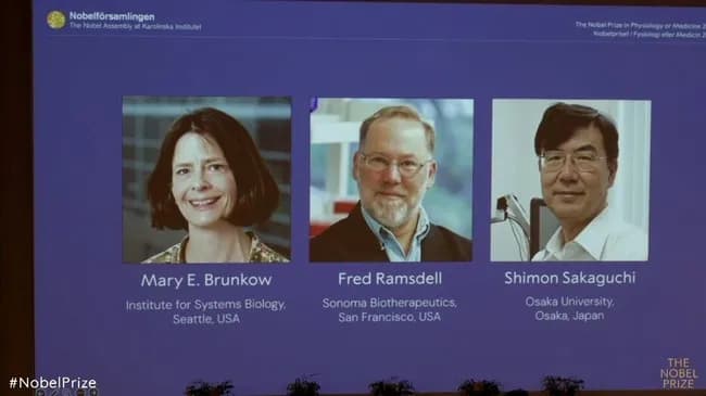 ノーベル生理学・医学賞に大阪大学特任教授の坂口志文さん(74)ら3人 免疫抑制細胞