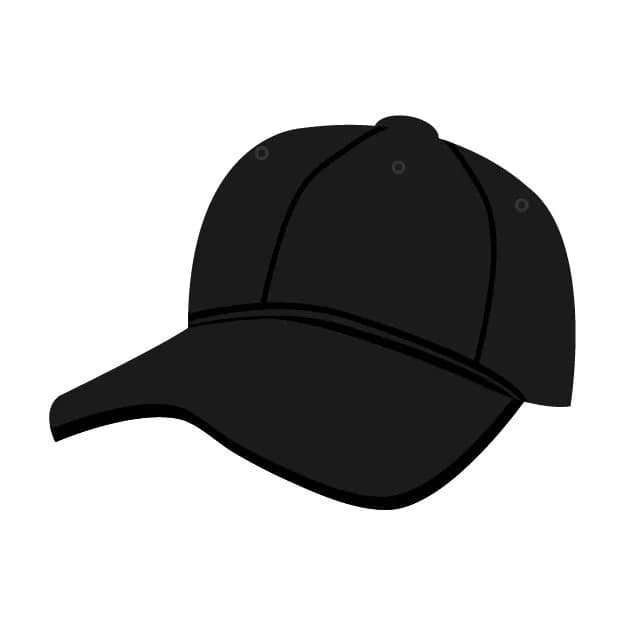 NPBのキャップって被りにくいよな