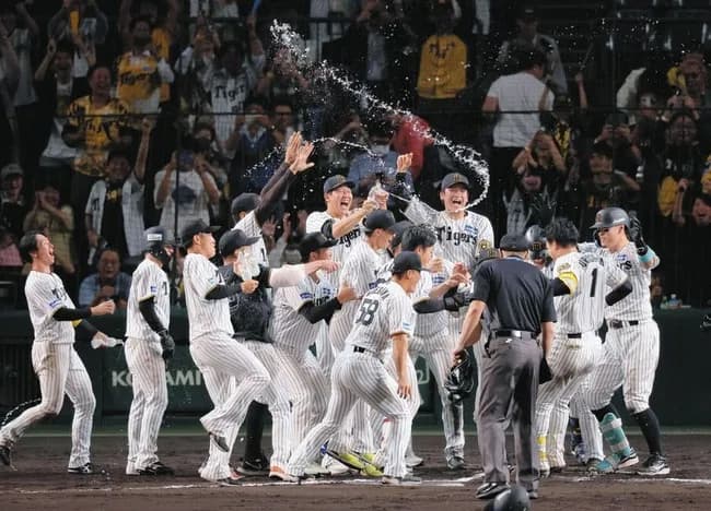 阪神、ガチで強いwwwwwwwwwww