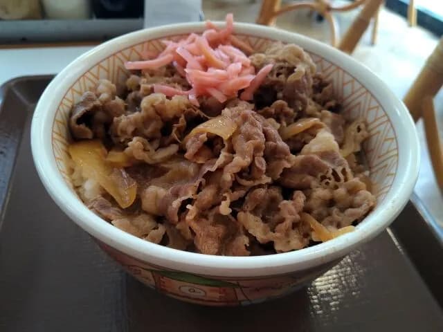 おまえら牛丼屋のチェーン店で最も食べたやつ何?