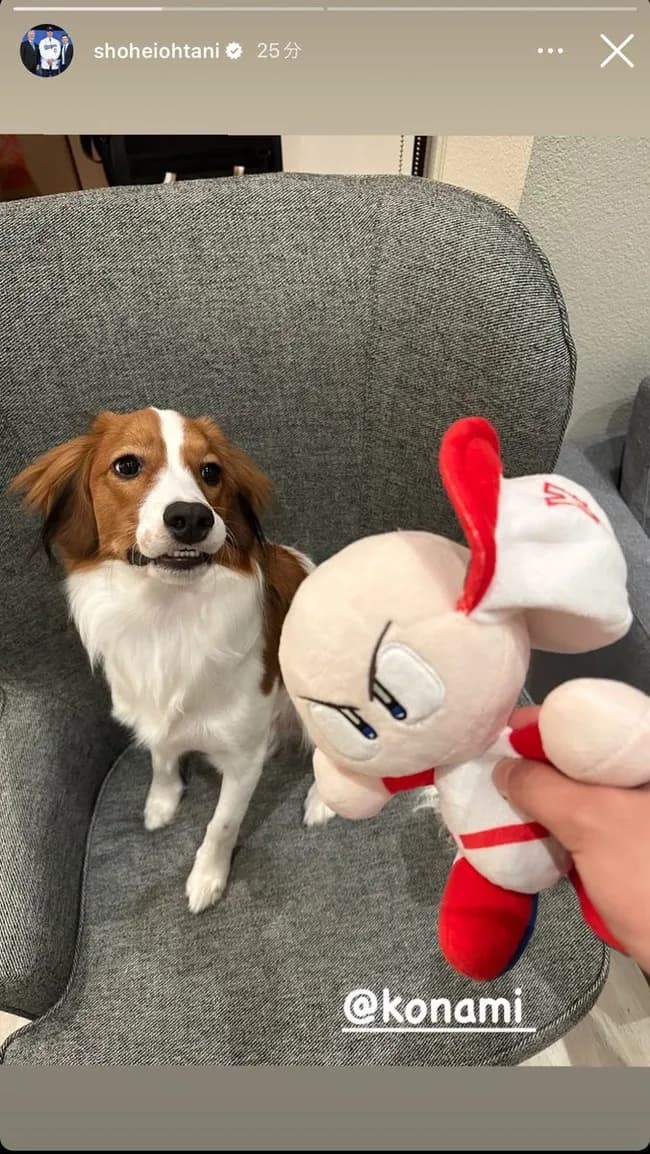 【悲報】大谷翔平、コナミからもらったパワプロくんを犬にあたえてめちゃくちゃにする