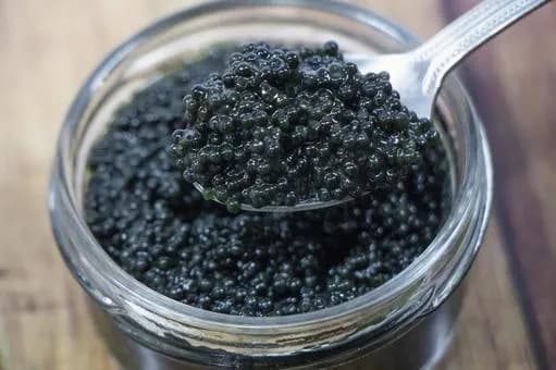 【急募】酒のアテが2種類永久無料になるなら?wwwwwwwwwwwwwwww