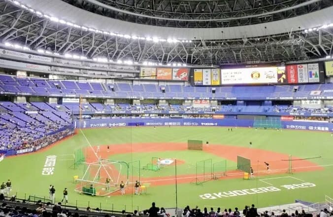 虎ファンで京セラのシーズンチケット買うやつおるんか?