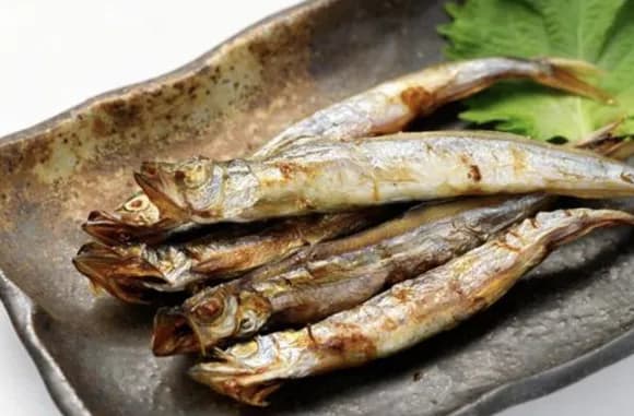 【急募】この世で最も美味しい魚ってなんや?wwwwwwww