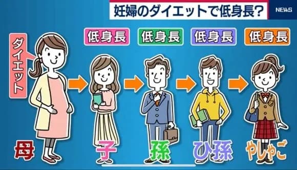 【悲報】妊婦「痩せなきゃ(使命感)」→子孫が低身長にwwwwwwww