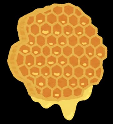 はちみつ、不味いです!!