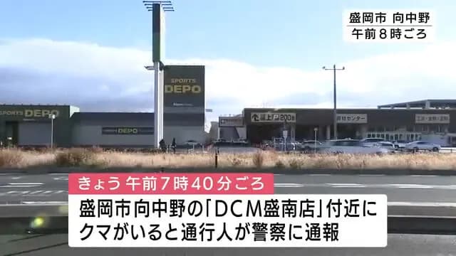 【岩手】ホームセンターに🐻が現れた! 何を使って駆除する?