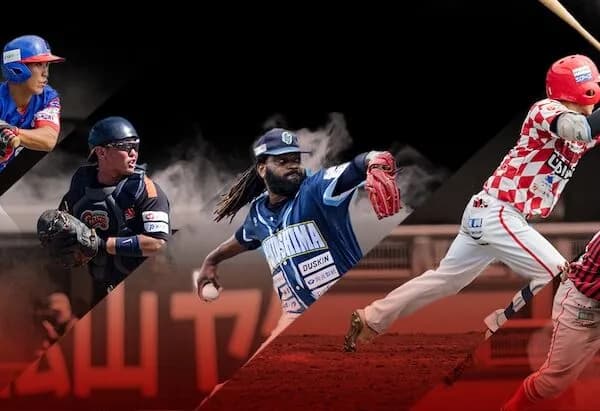 野球独立リーグの格付けをしてみた