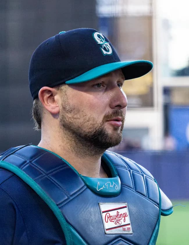 好きなMLB選手がカル・ラリー、グラスナウ、タシェアラなんやが