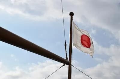 【動画】れいわ新撰組さん、日本国旗に×をつけて行進してしまうwwwwwwwwwwwwww