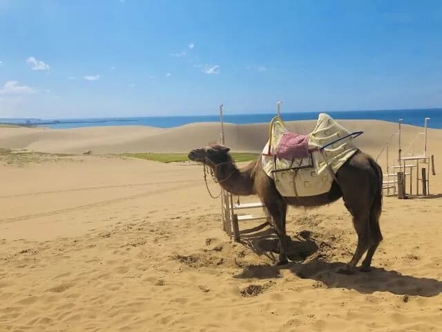 鳥取県←なに思い浮かべた?