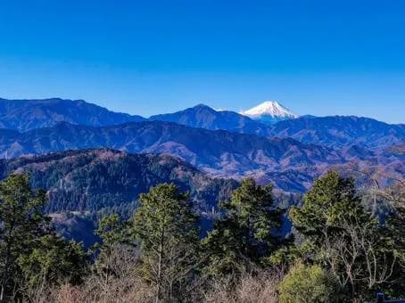 【急募】今日暇やから「高尾山」行ってもええか?wwwwwwwwwwwwwwww