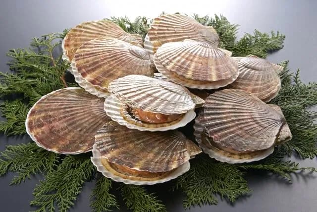 帆立とかいう歩く完全食、レベチwwwwwwwwwwwwwwwwww