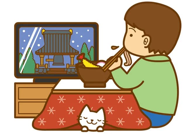 お前ら大晦日はどうやって過ごすの?