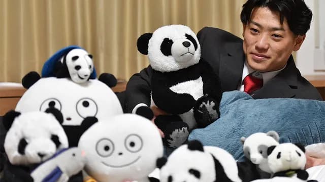 カープドラ3勝田成(なるる)、パンダのぬいぐるみ大量持参www