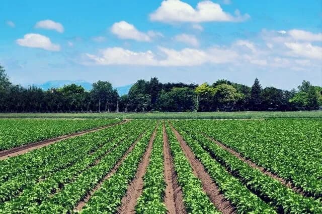 大企業が農業に参入しては撤退している事実