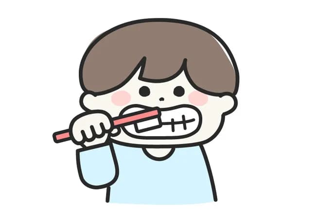 人間「ブラッシングだけでは歯は完璧に磨けません」