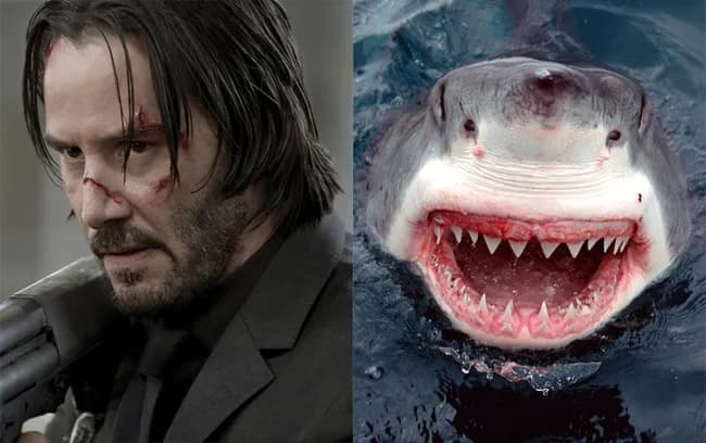 【朗報】サメ映画、ついに本気を出してくる