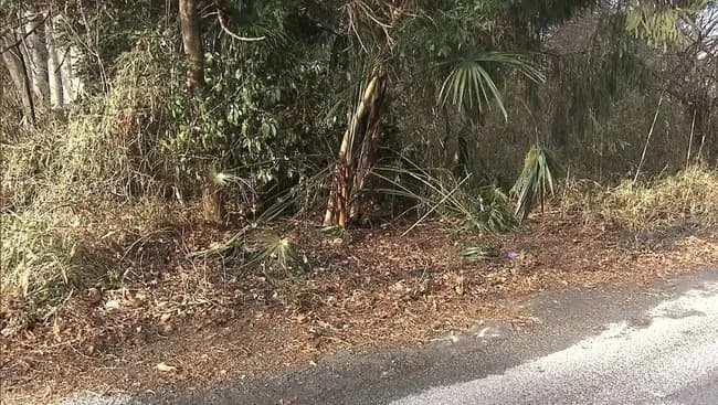 【悲報】また連続不審火か…防犯カメラに不審人物 栃木がカオスシティになる