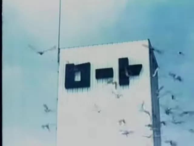 ロート製薬のCMで飛んでる鳩いるでしょ?