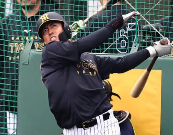 阪神の練習球、明らかに飛びすぎてしまうwwwwwwwww